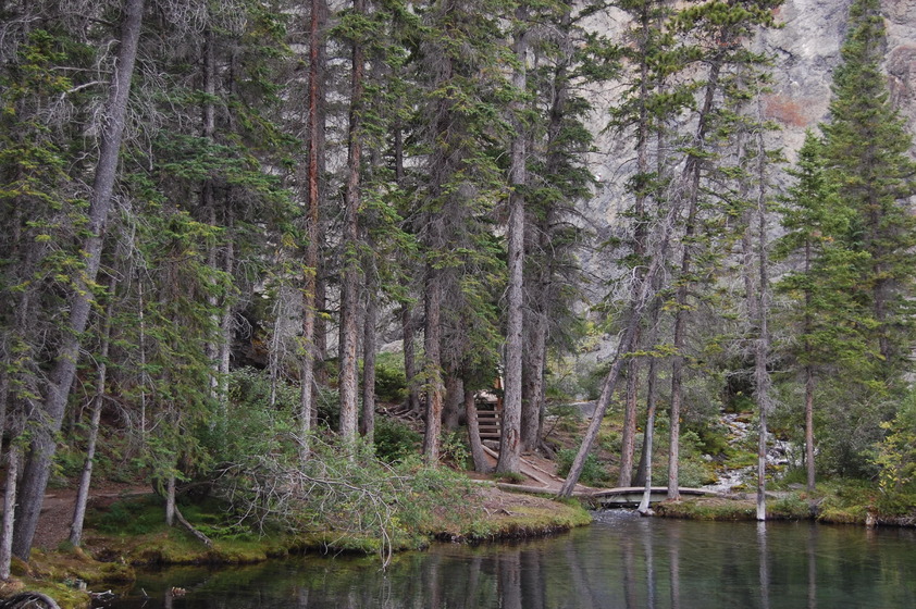 A serene forest scene with tall trees surrounding a tranquil lake. A wooden staircase leads up a slope among the trees.