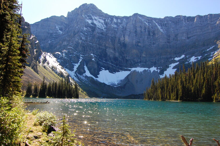 A scenic view of a lake surrounded by evergreen trees. The majestic peaks of the Canadian Rockies rise in the background.