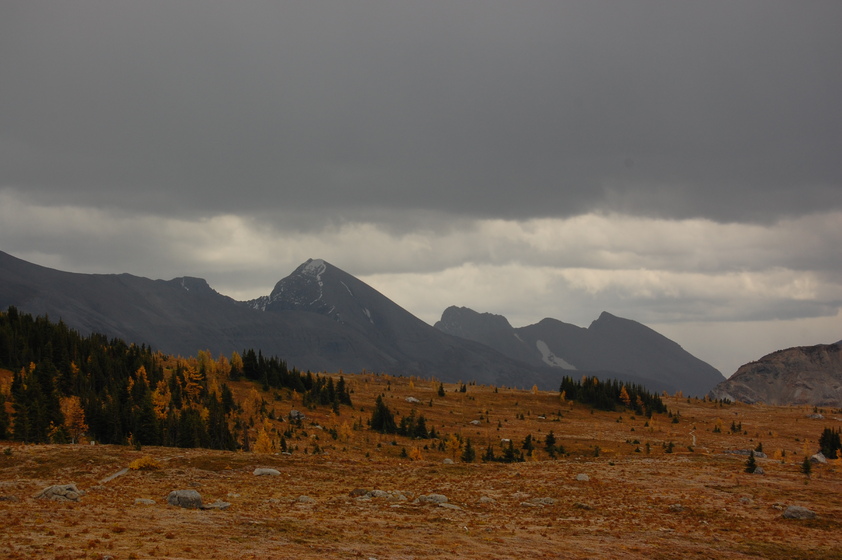 Under a blanket of gray clouds with rain falling. The vibrant wildflowers are less visible, with mountains in the distance.