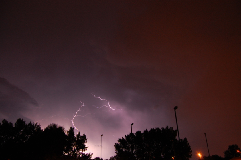 A bright flash of lightning illuminates the dark night sky behind silhouettes of tall trees.