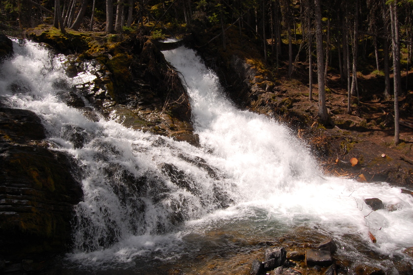 A rushing waterfall cascading down rocky terrain surrounded by lush green trees and moss-covered rocks.