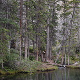 A serene forest scene with tall trees surrounding a tranquil lake. A wooden staircase leads up a slope among the trees.