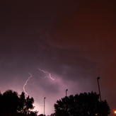 A bright flash of lightning illuminates the dark night sky behind silhouettes of tall trees.