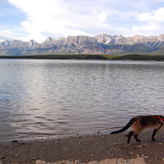 Skittles, with a leash, walking on the sandy shore of Lower Kananaskis Lake, with majestic mountain peaks in the background under a partly cloudy sky.