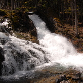 A rushing waterfall cascading down rocky terrain surrounded by lush green trees and moss-covered rocks.